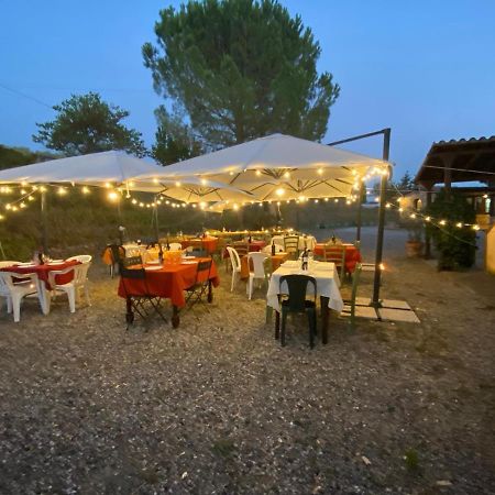 Podere Ripabianca Riparbella Dış mekan fotoğraf