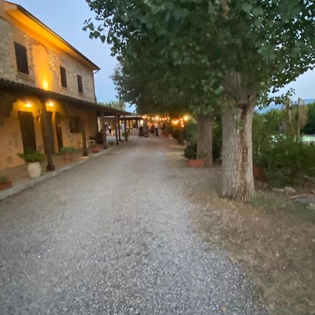 Podere Ripabianca Riparbella Dış mekan fotoğraf