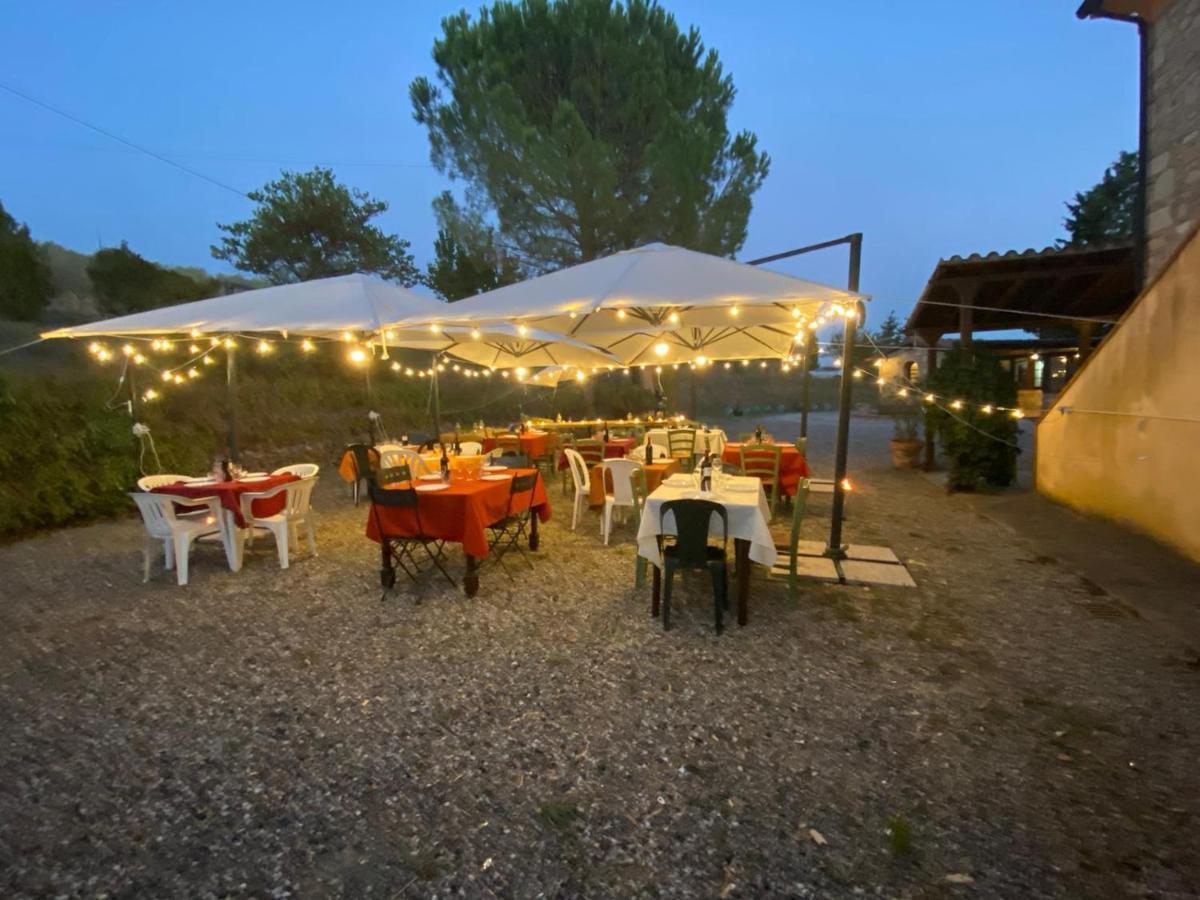 Podere Ripabianca Riparbella Dış mekan fotoğraf