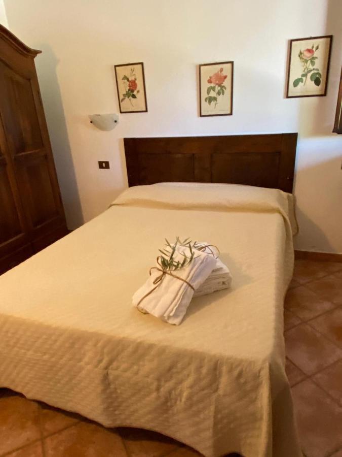 Podere Ripabianca Riparbella Dış mekan fotoğraf