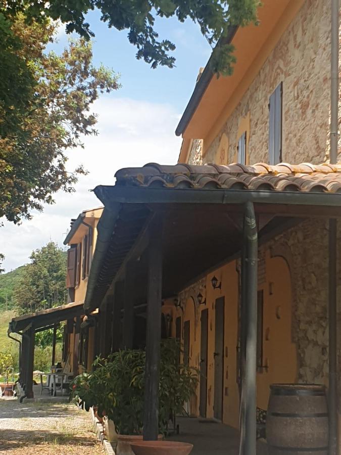 Podere Ripabianca Riparbella Dış mekan fotoğraf