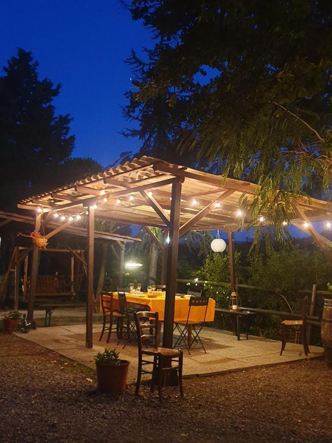 Podere Ripabianca Riparbella Dış mekan fotoğraf