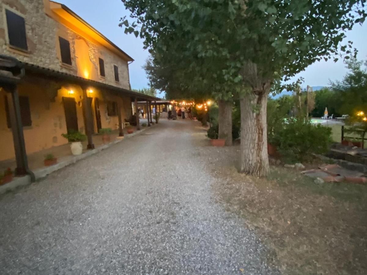 Podere Ripabianca Riparbella Dış mekan fotoğraf