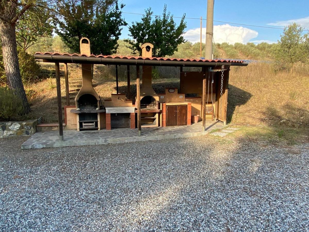 Podere Ripabianca Riparbella Dış mekan fotoğraf
