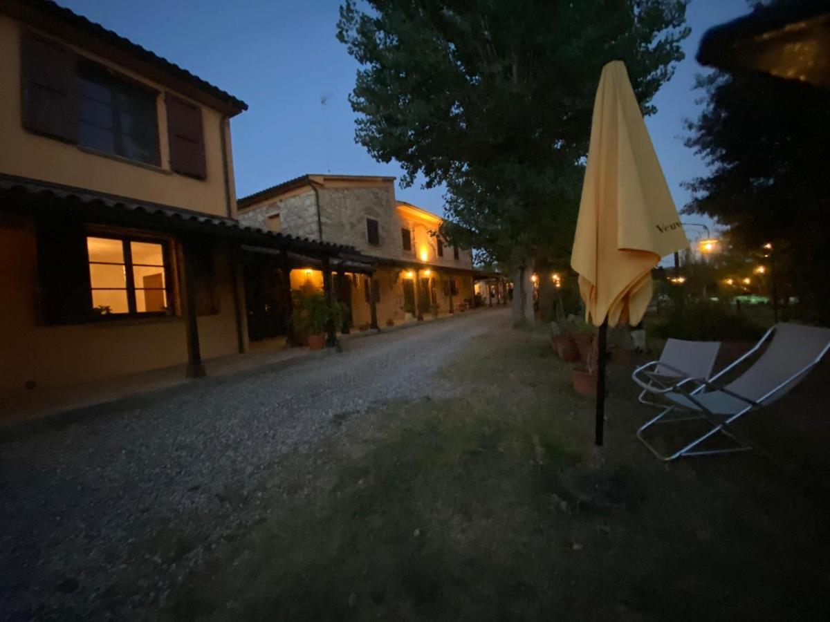 Podere Ripabianca Riparbella Dış mekan fotoğraf