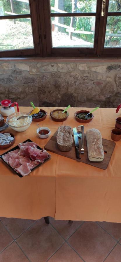 Podere Ripabianca Riparbella Dış mekan fotoğraf